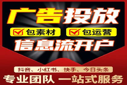 行业专家解析SEM代运营成功案例