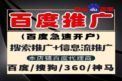 SEM推广优化策略：成功案例解析
